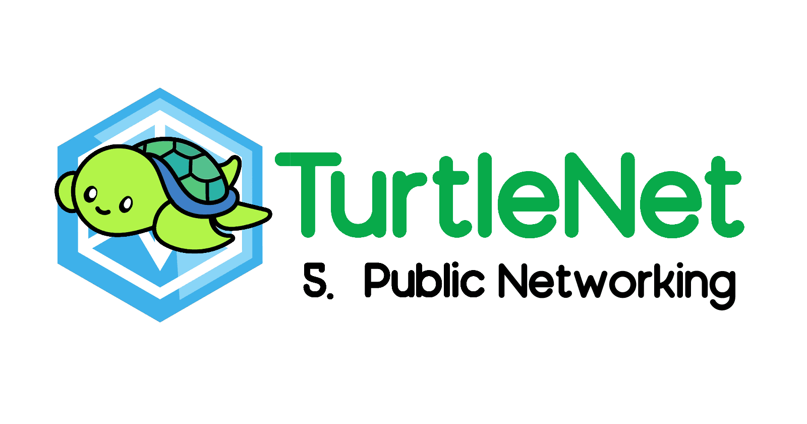 TurtleNet 5: Public Networking